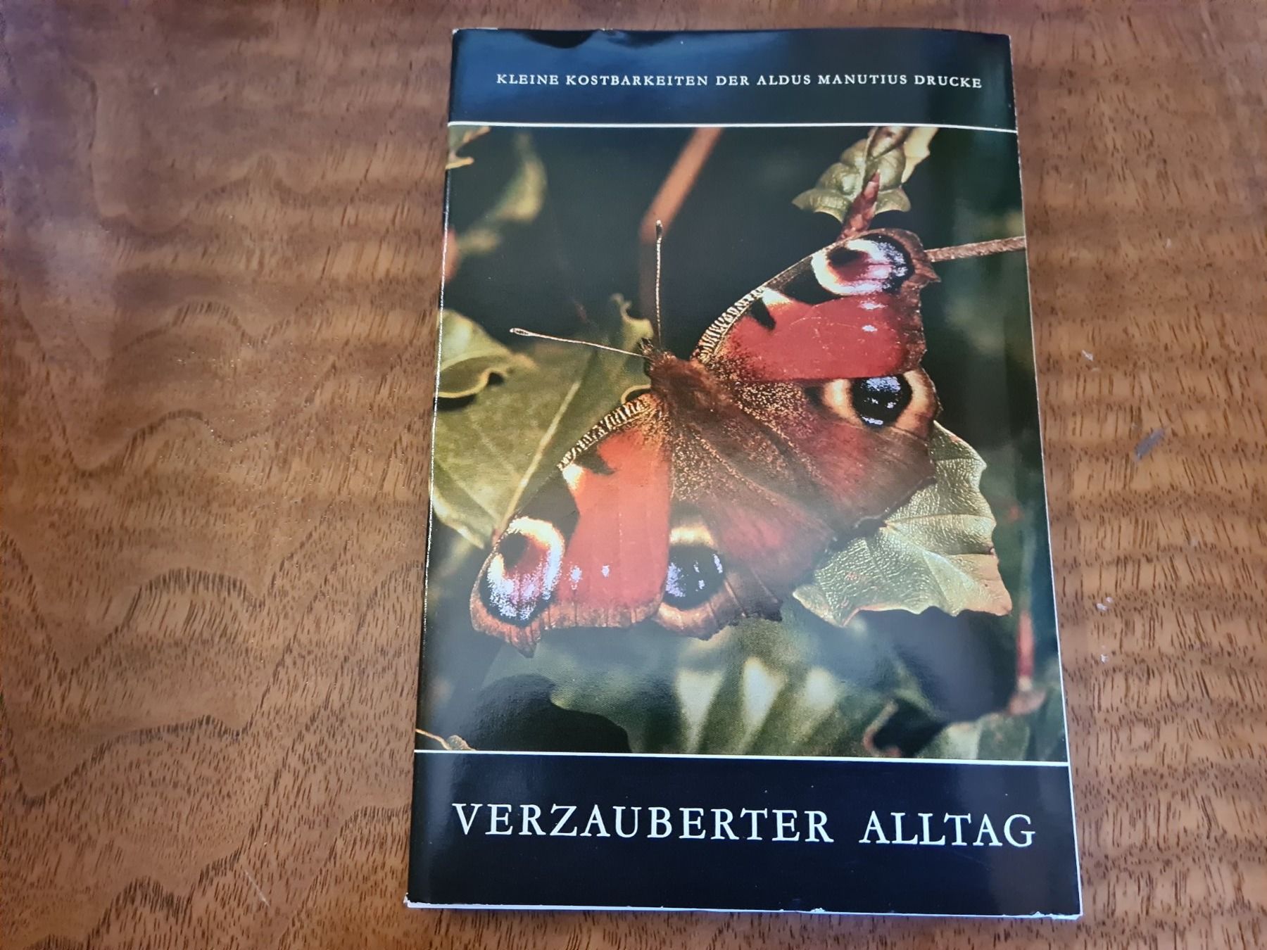 Libri: Verzauberter Alltag – Usato da Erstfeld venduto da Uhu1980 4