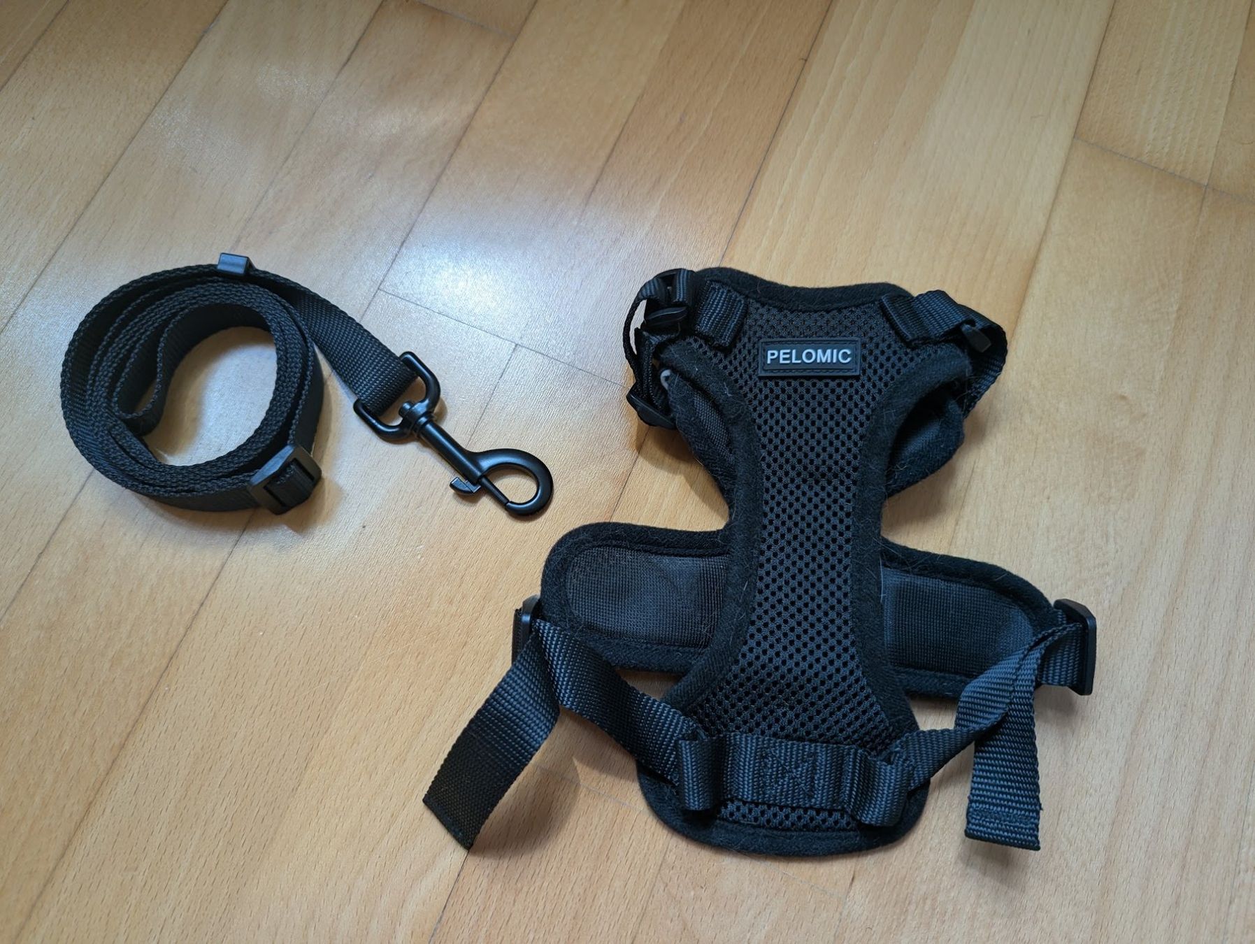 Guinzagli & Collari: Hundegeschirr mit Leine – Usato da Bern venduto da aboutann 1