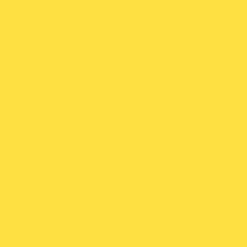 Profile image of offbloom