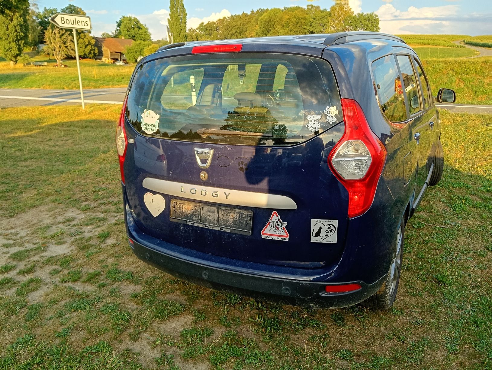Automobili: Dacia Lodgy1.2 – Difettoso da Bern venduto da exp_hm5r 2