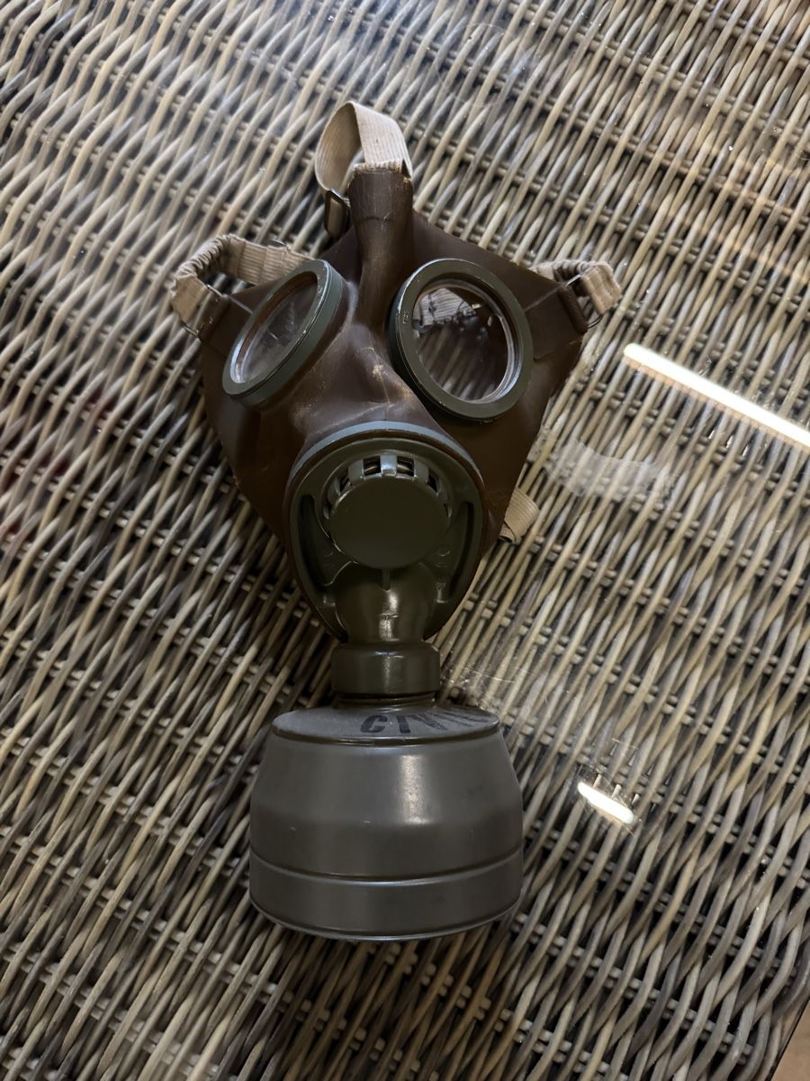 Altro in Antiquarato & Arte: Gasmaske 1948 – Usato da Flaach venduto da DewTrich