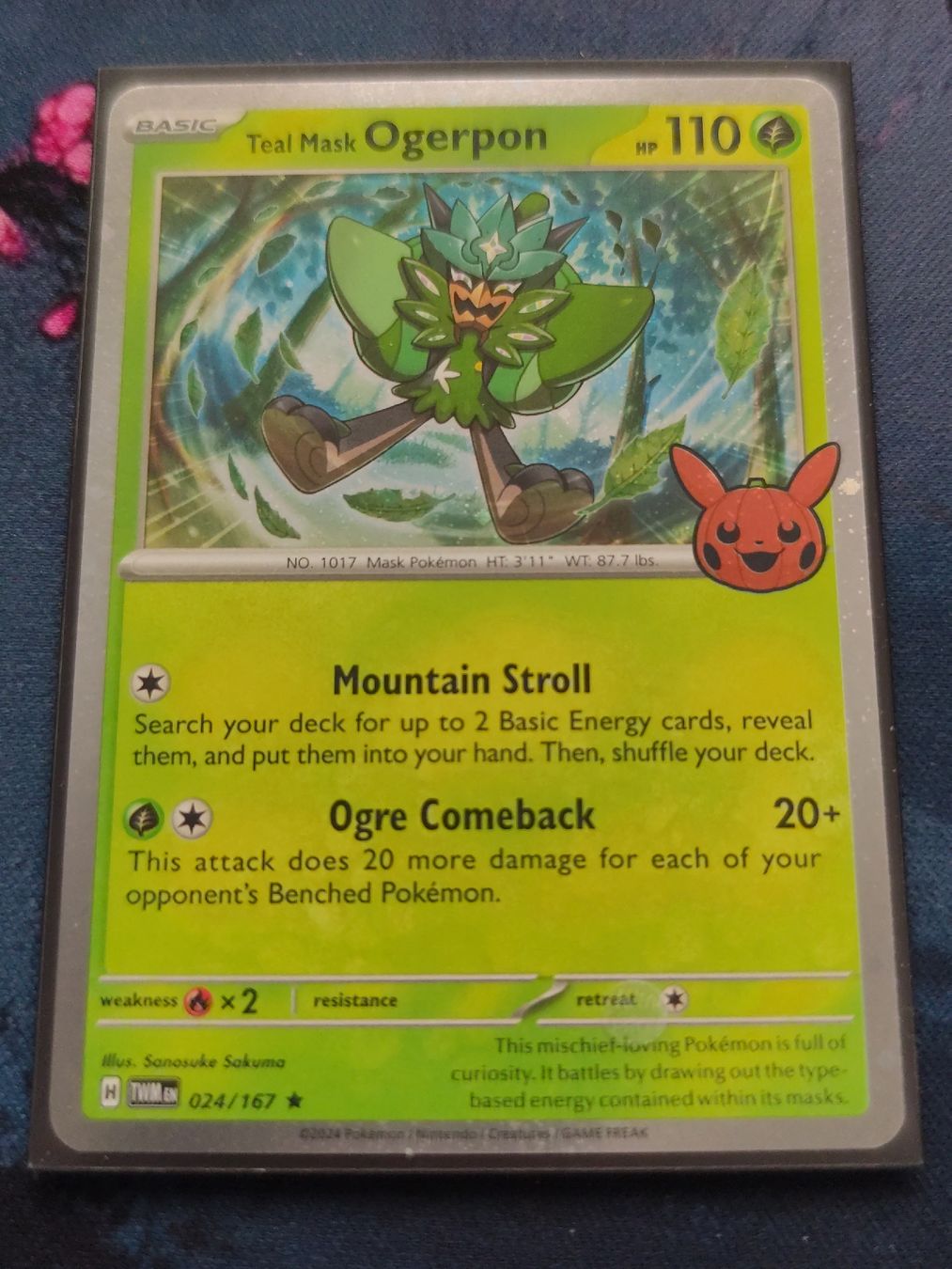 Pokémon Carte collezionabili: Pokemon Ogerpon Trick or Trade EN – Nuovo (secondo la descrizione) da Schlossrued venduto da LAP2012