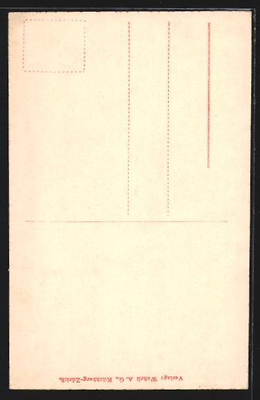 Cartoline postali: AK Lugano, Via Nassa – Usato da Berlin venduto da bartko-reher 1