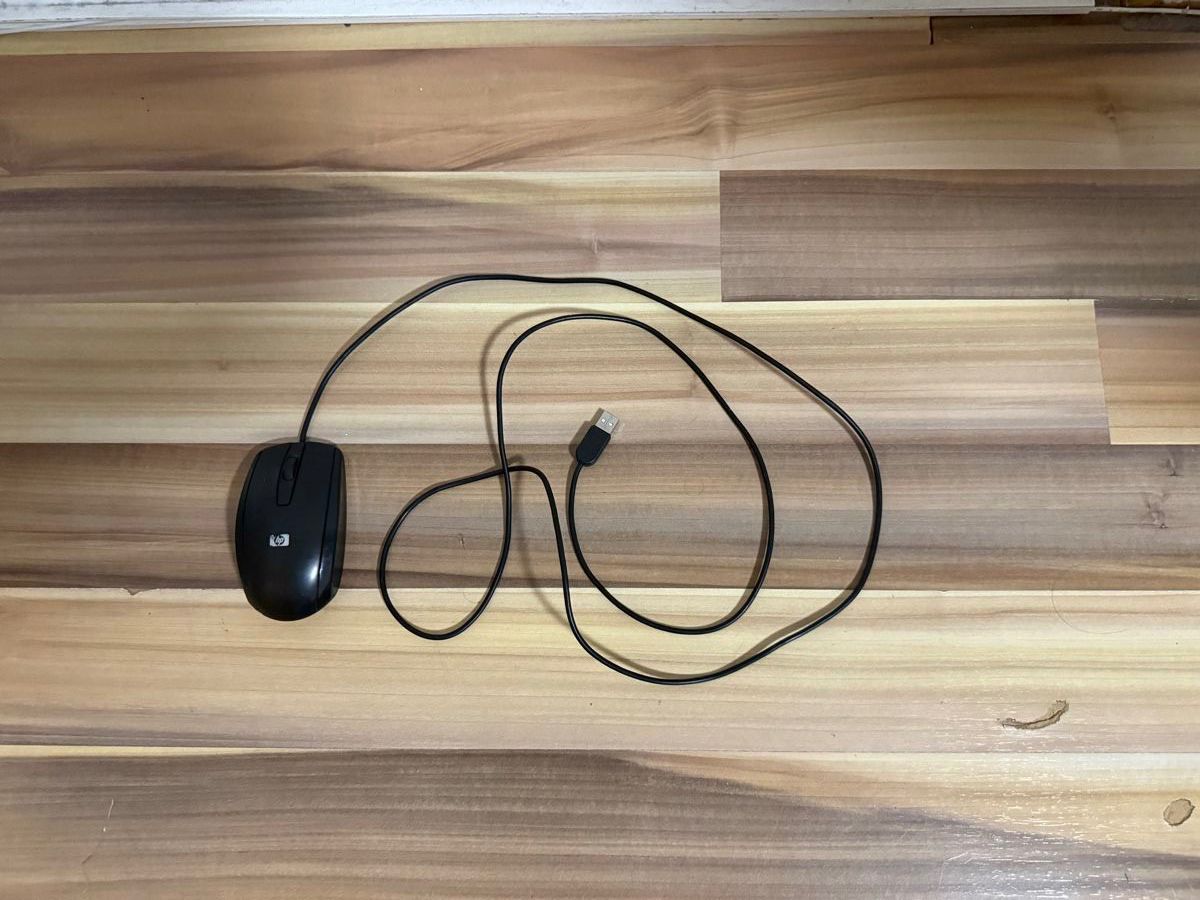Hewlett Packard Mouse: HP Maus – Usato da Widnau venduto da Refik28