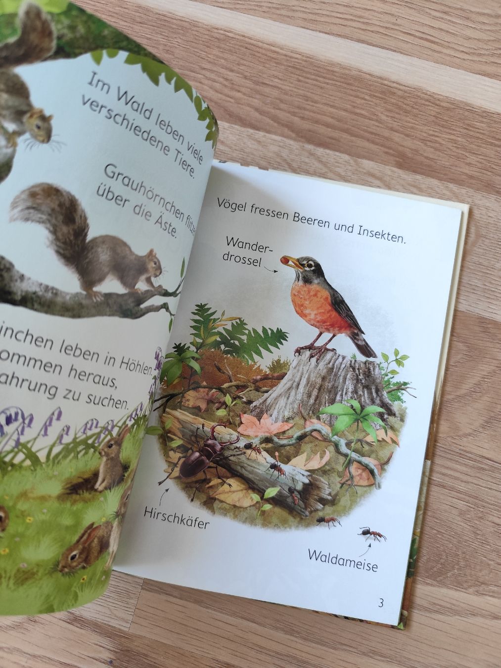 Livres: Waldtiere Usborne – D'occasion à Mägenwil par VintageGirly 7