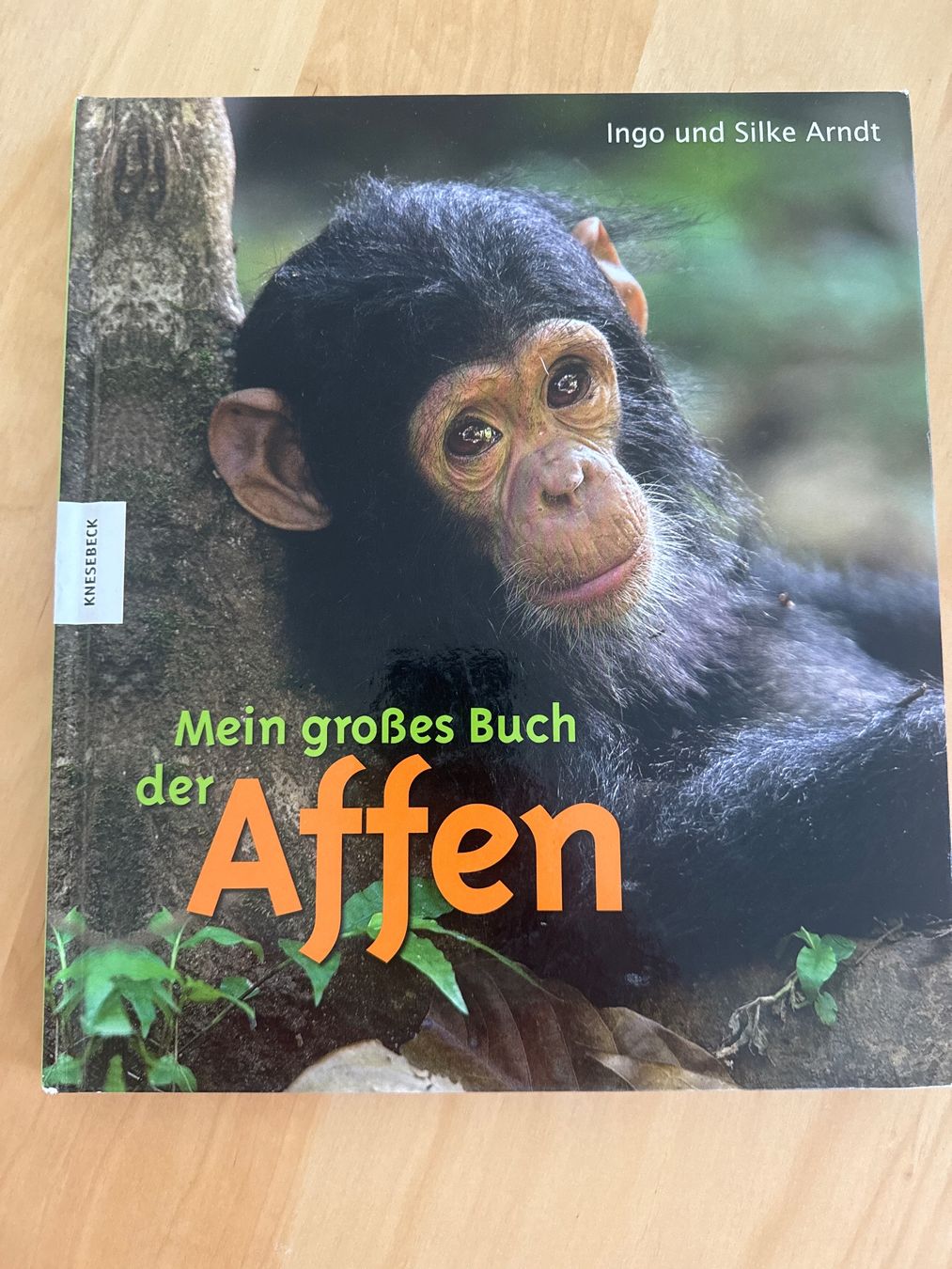 Libri: Mein grosses Buch der Affen – Usato da Goldach venduto da Hibiskus23