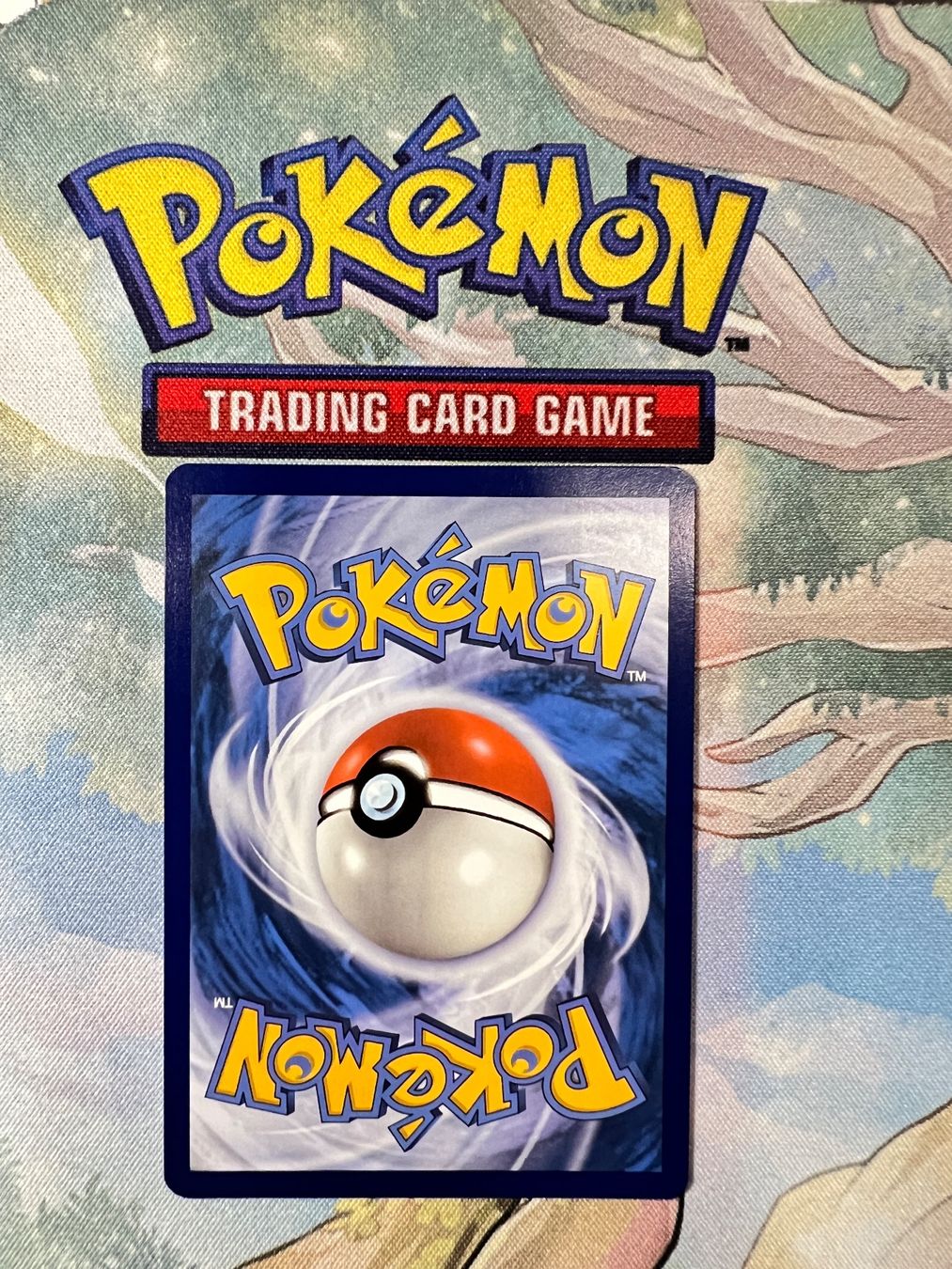 Karten: Charmander Shiny Rare Paldeas Schicksale 109/091 – Neu (gemäss Beschreibung) aus Sempach von R-G 1