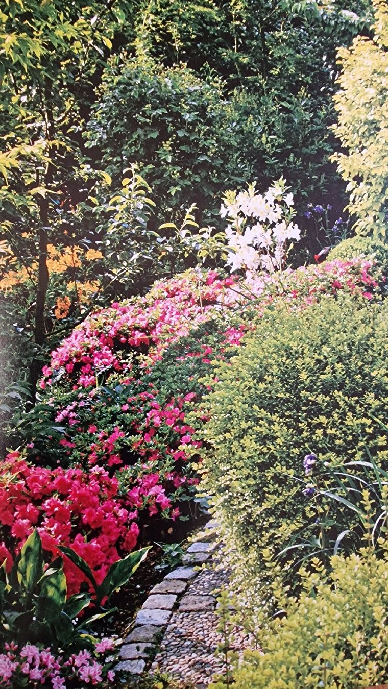 Bücher: Gartenbuch "Gärten und Grüne Oasen" – Gebraucht aus Zürich von Gabced 8