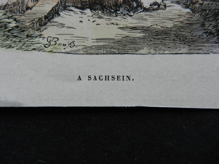 Incisioni: Sachseln koloriert – Usato da Risch venduto da Rischli15 2