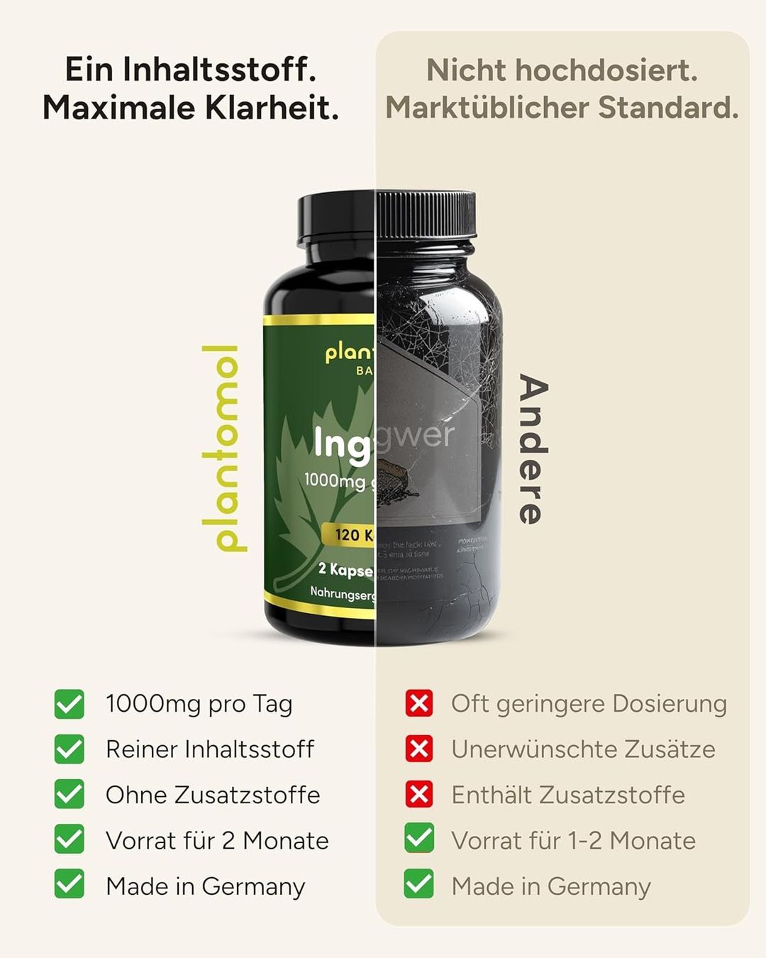 Cibi & Specialità: Ingwer Kapseln 1000mg 2 Monate Vorrat – Nuovo e nell'imballaggio originale da Suhr venduto da SchnapperCH 4
