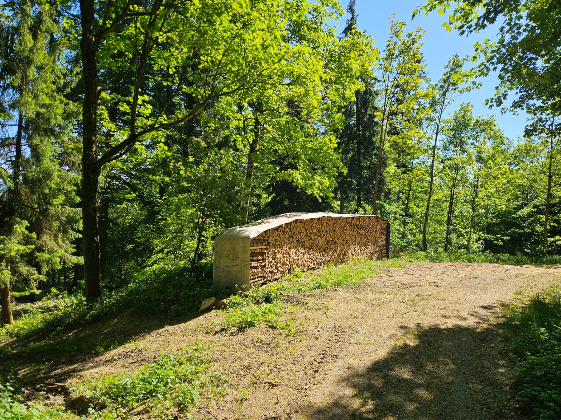 Articoli in legno: Brennholz Esche/Buche – Nuovo (secondo la descrizione) da Hägglingen venduto da jom_96vd 1