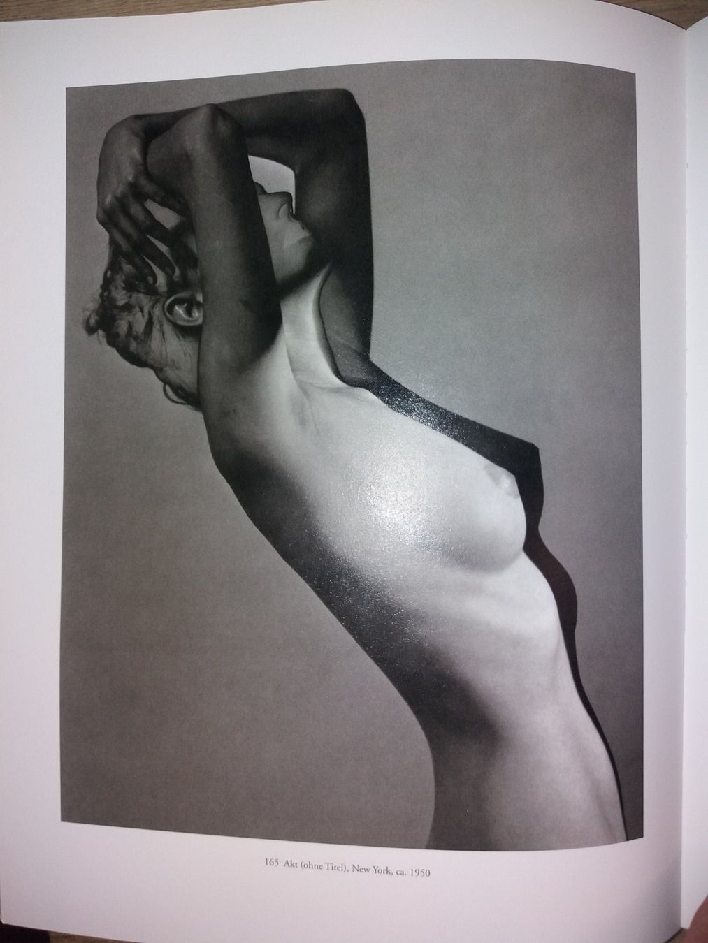 Libri: FOTOKLASSIKER Blumenfeld gesamtwerk – Usato da Welschenrohr venduto da Regool 7