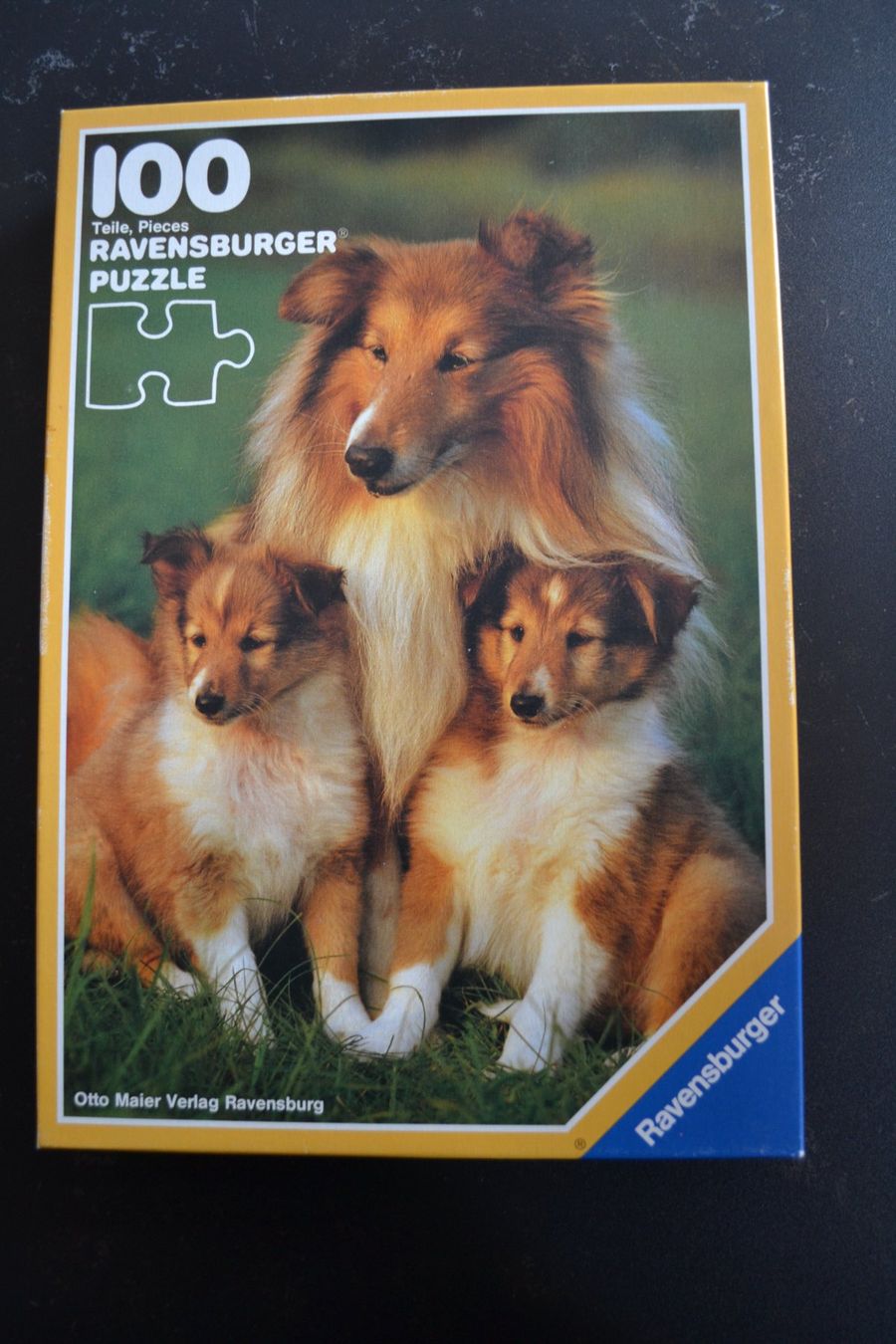 Ravensburger Puzzle: Puzzle 100 er für Kinder – Usato da Beinwil am See venduto da kajak55 1