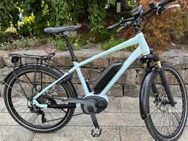 Damen E-Bike IBEX milch-blau