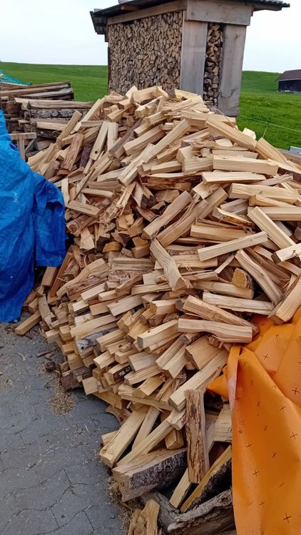 Brennholz Fichte Preise