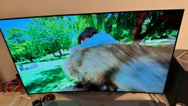 LG 55EC930V 55 Zoll OLED TV gebraucht