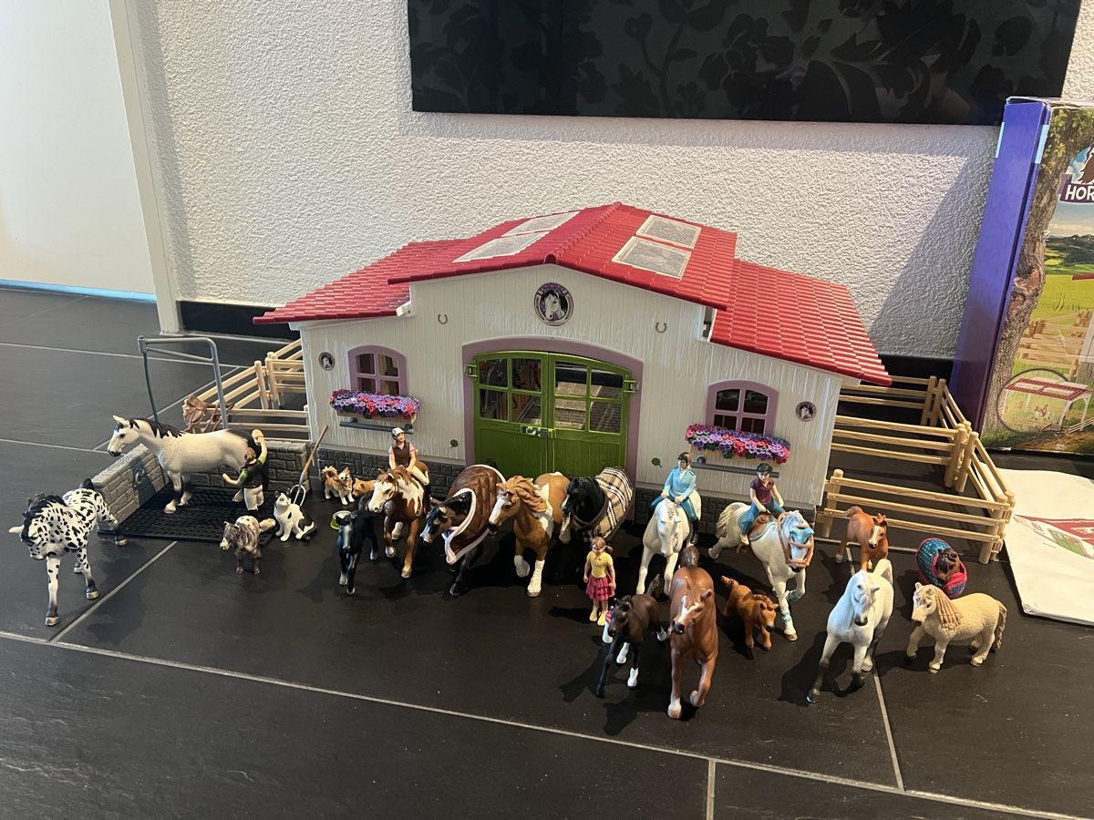 Schleich Giocattoli: Schleich Reiterhof Set – Usato da Fehraltorf venduto da she_9hpy 2