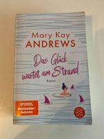 Roman Das Glück wartet am Strand