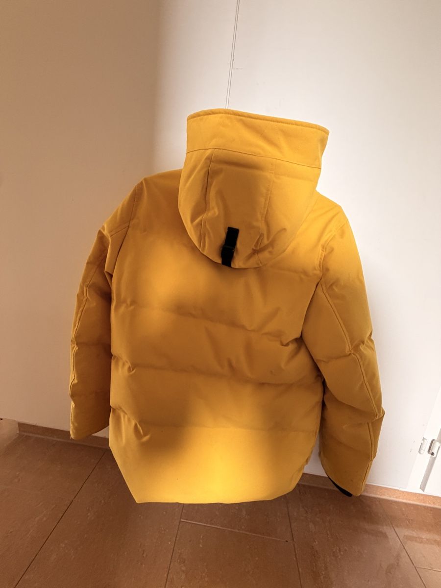 Tommy Hilfiger Giacche: Tommy Hilfiger Winterjacke – Usato da Forch venduto da Speedyrun 4