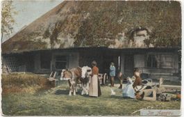 LANDWIRTSCHAFT/STROHDACHHAUS 1910 Aargau