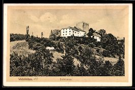 AK Weinfelden, Blick zum Schloss, 1910