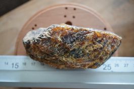 Xl Bernstein Roh 100g  10cm  fossil      Sammlerstück
