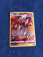 Houndoom Illustration Rare (EN) Trainer Gallery TG10