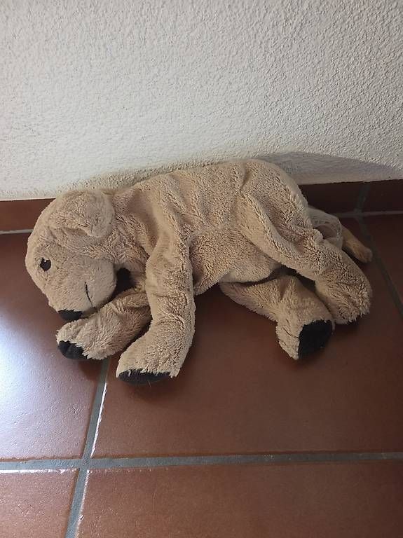 Jouets: Plüschtiere – D'occasion à Schachen b. Reute par jes_69lq 3