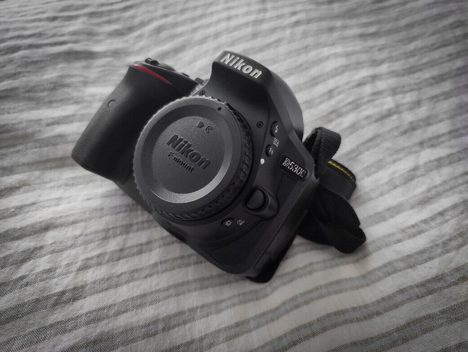 Nikon Fotocamera: Nikon D5300 mit Rode Mikrofon und Filter – Usato da Grenchen venduto da Radav 1