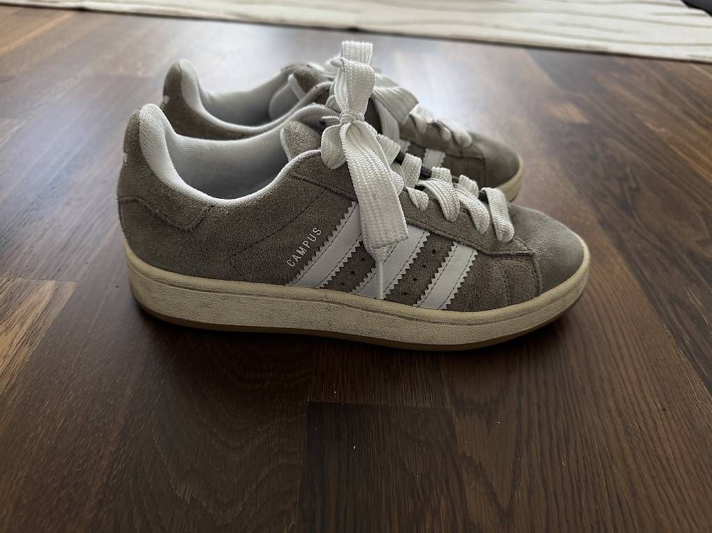 Chaussures hommes: Adidas Campus grau – D'occasion à Dietikon par mic_l9hy 2
