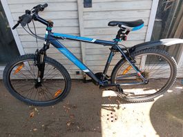 Velo California SUNDANCE