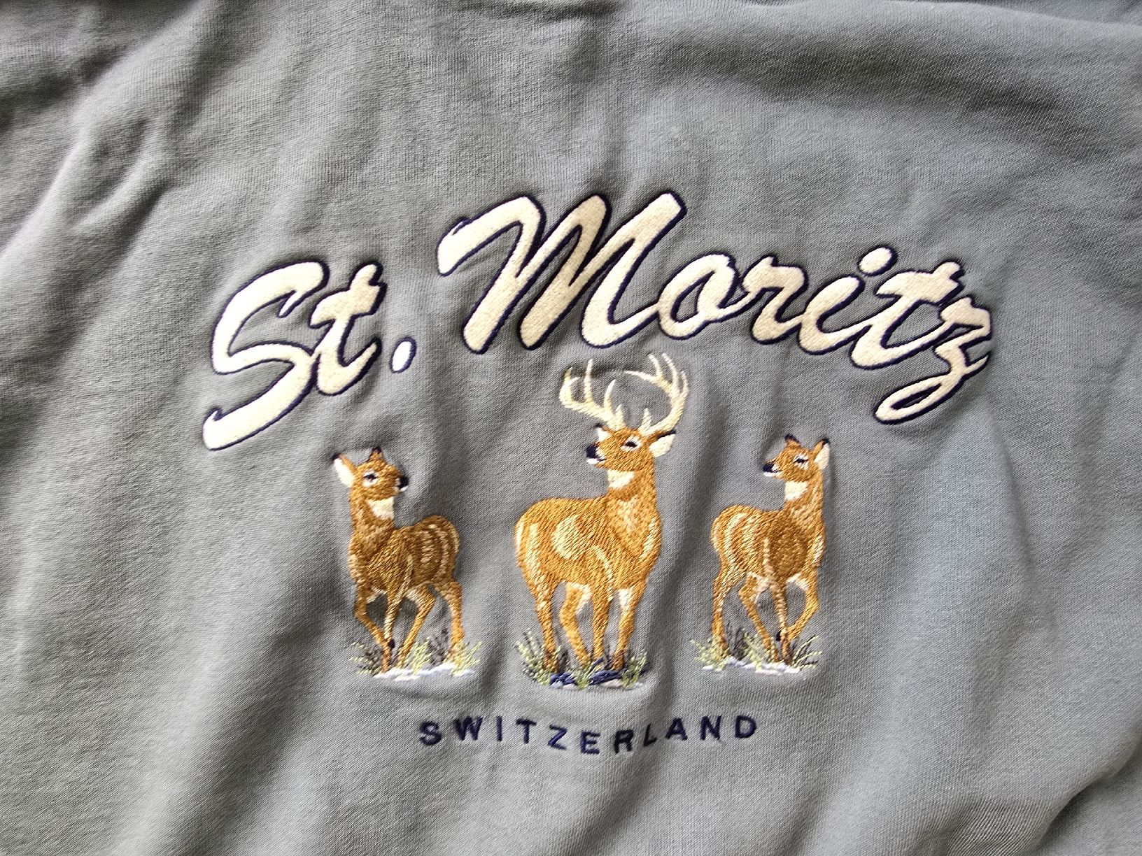 Brandy Melville Maglioni & Felpe: Brandy Melville Sweatshirt Oversized One Size St. Moritz – Usato da Cugnasco venduto da FuoriTutto 1
