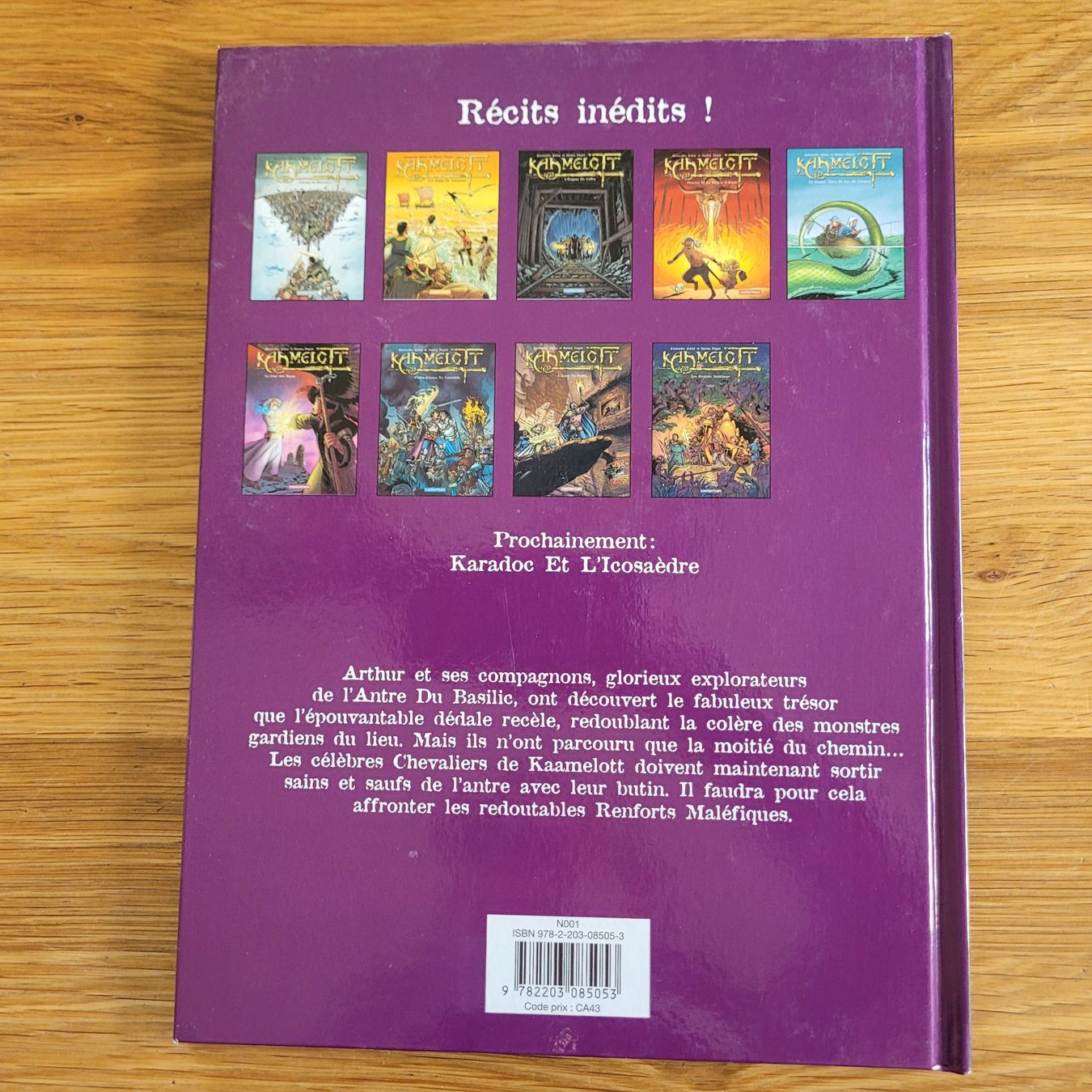 Fumetti: BD EO Kaamelott 9. Les Renforts Maléfiques – Usato da Biel/Bienne venduto da Destockweb 5
