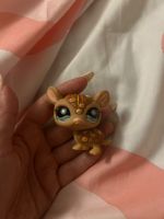 Little Petshop Tatou brun à dessins