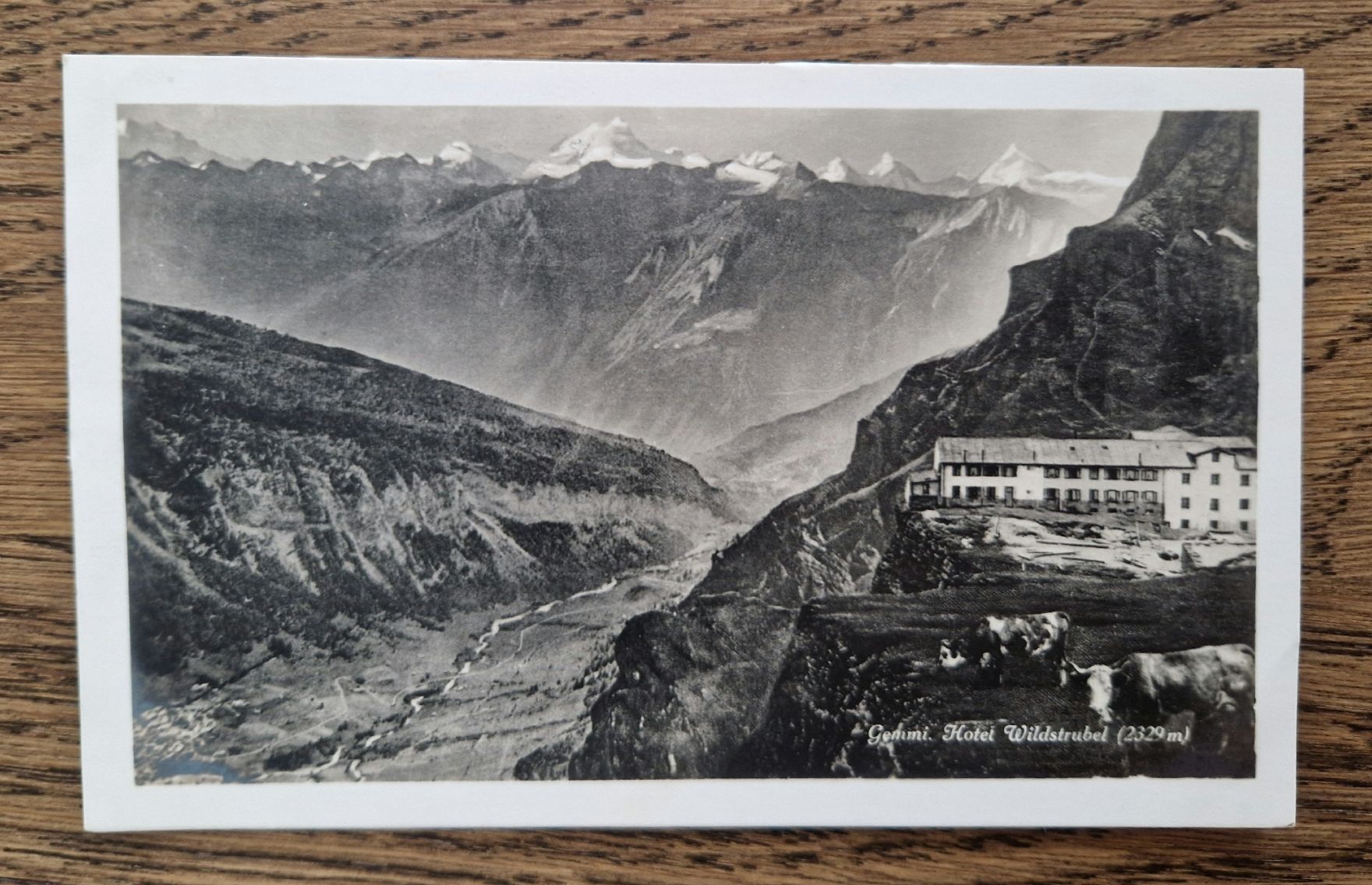 Cartoline postali: Gemmi, Hotel Wildstrubel, Gemmistempel 1923 – Usato da Ebikon venduto da Donar50