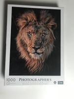 Löwen Puzzle 1000 Teile, Donal Boyd, neu & originalverpackt