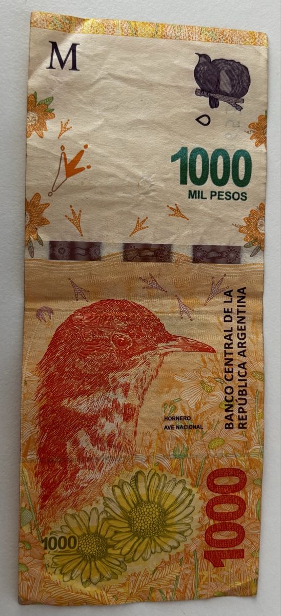 Banconote: Argentinien 1000 Pesos – Usato da Algetshausen venduto da Carrhard