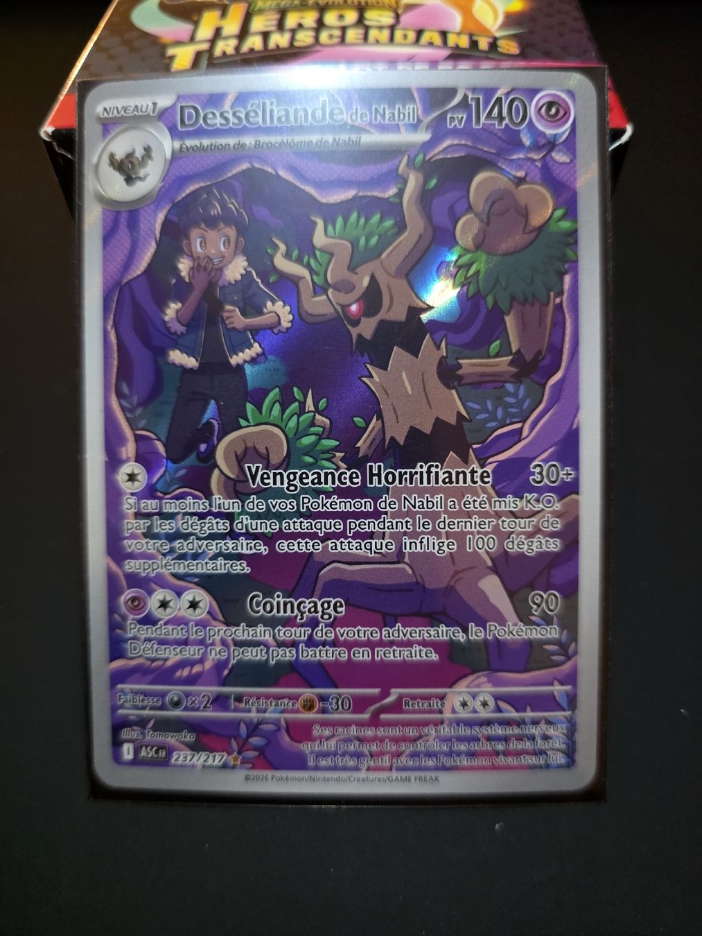 Pokémon Carte collezionabili: Desséliande de Nabil Asc 237 – Nuovo (secondo la descrizione) da Le Lignon venduto da Nathium
