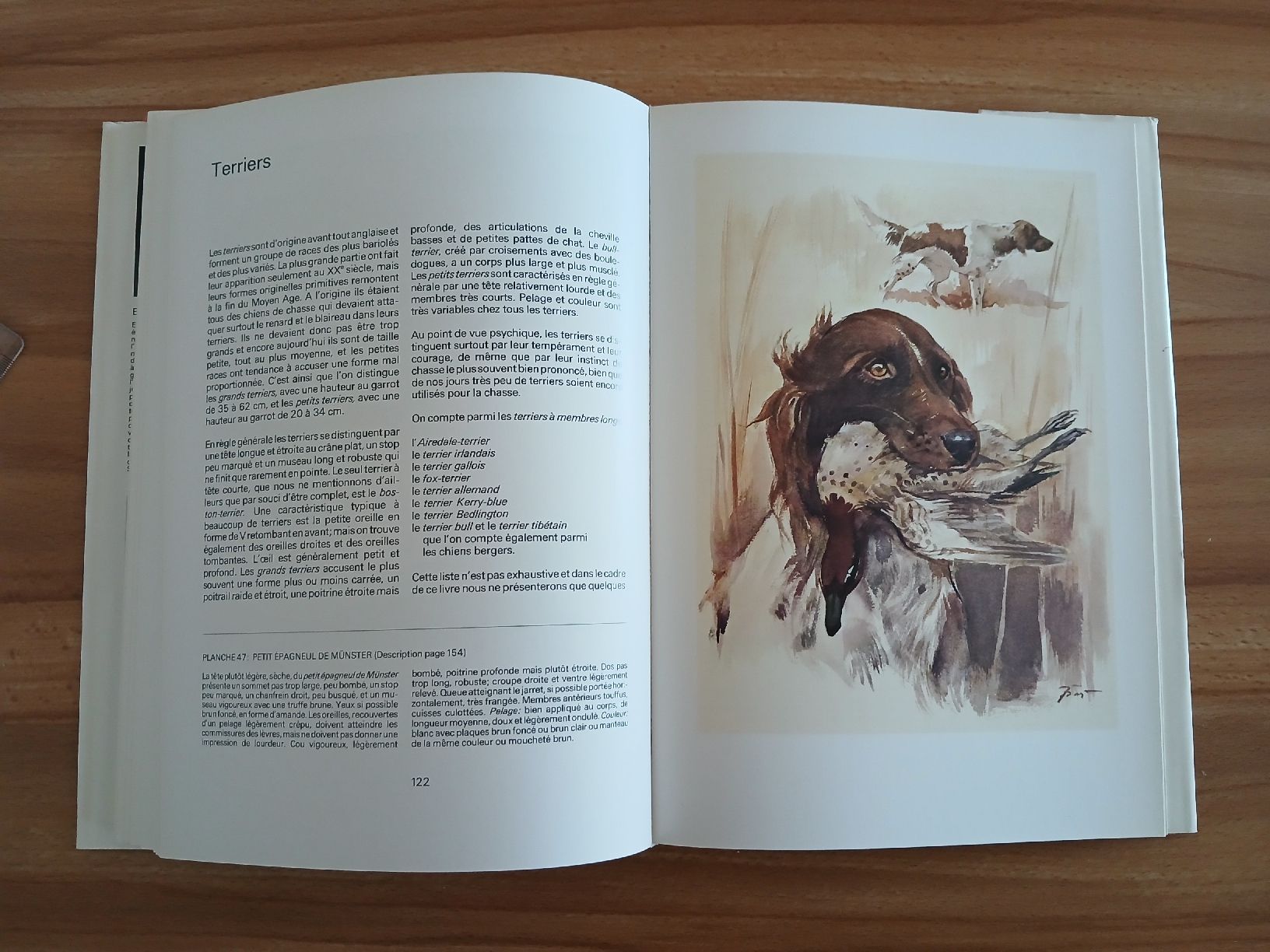 Libri: Nos chiens – Usato da Le Sentier venduto da arc_2thy 9