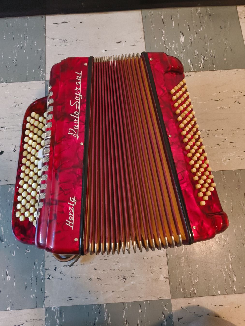 Paolo Soprani Strumenti musicali: Handorgel Herzig Paolo Soprani – Usato da stettlen venduto da VintageBern_ch 6