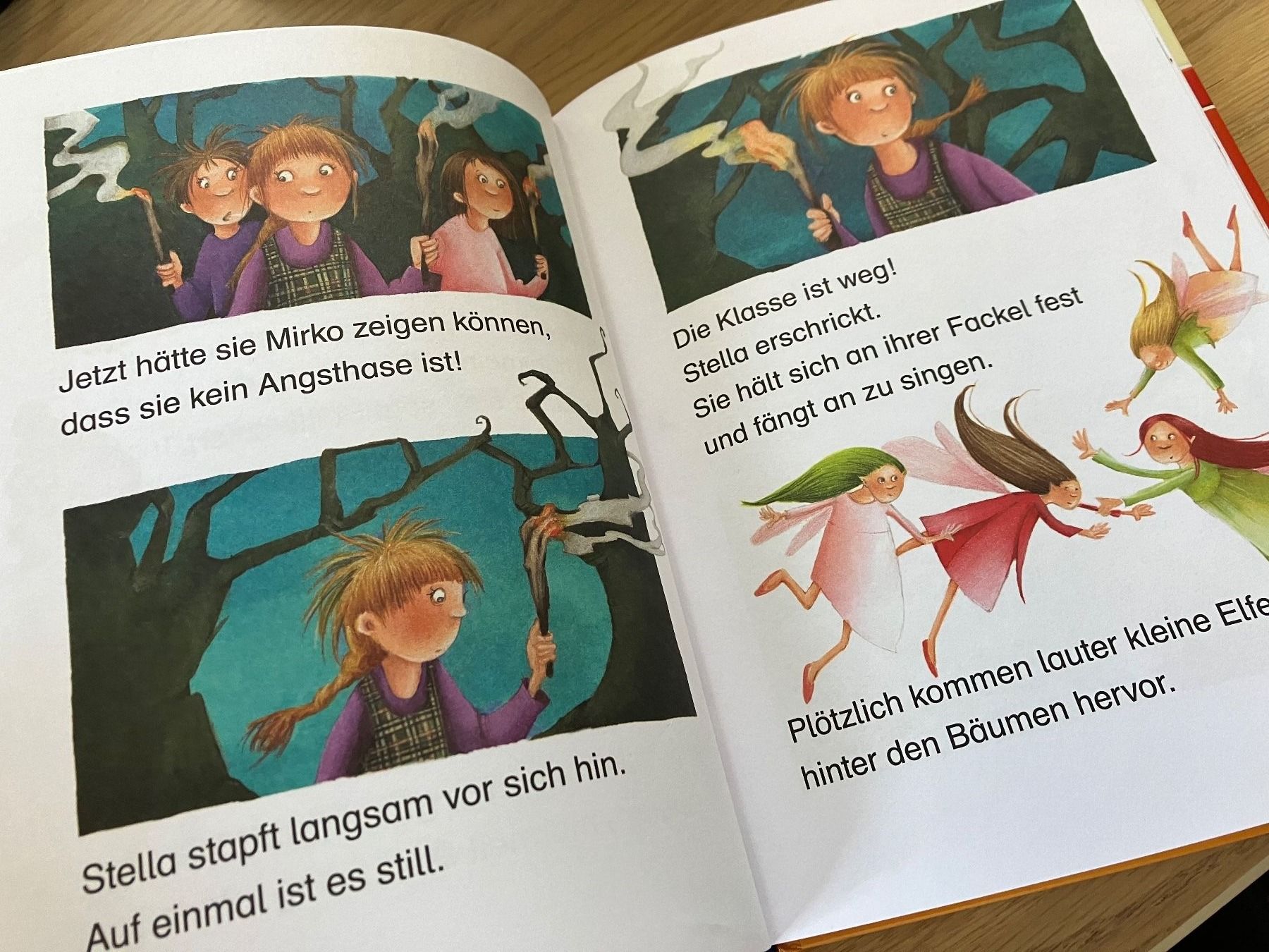 Libri: Bücherset 1. Klasse Bücherbär – Usato da Weissbad venduto da Praxedis_P51 8