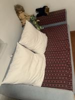Sofa hellgrau mit Kissen und Bezug gebrauchter Zustand