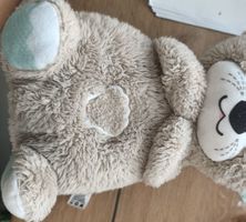 Fisher-Price Soothe and Snuggle Otter