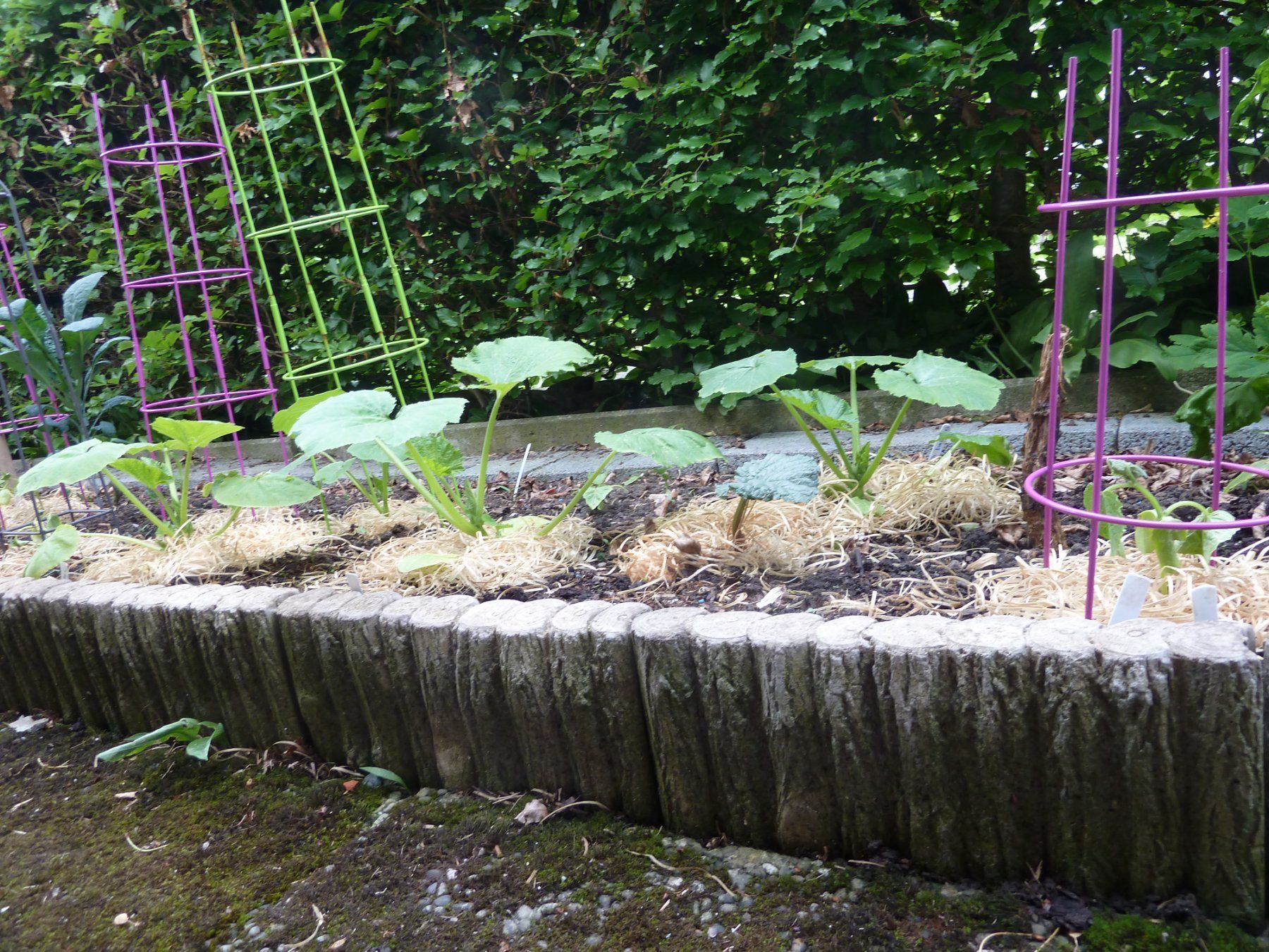 Bücher: Beton Palisade 25 mit Holzimitation – Neu (gemäss Beschreibung) aus Herbetswil von AHA-Garten 2