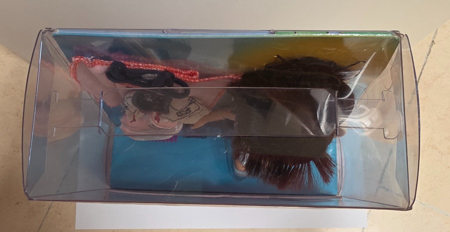 MGA Puppen: Bratz Jade Beach Party de 2002 – Neu und originalverpackt aus Bulle von Chimchiree 5