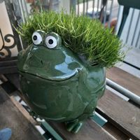 Deko Zeit : Frosch Pflanzen Topf / Vintage