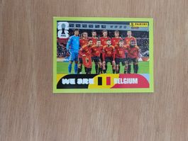 Panini Fifa BEL 13