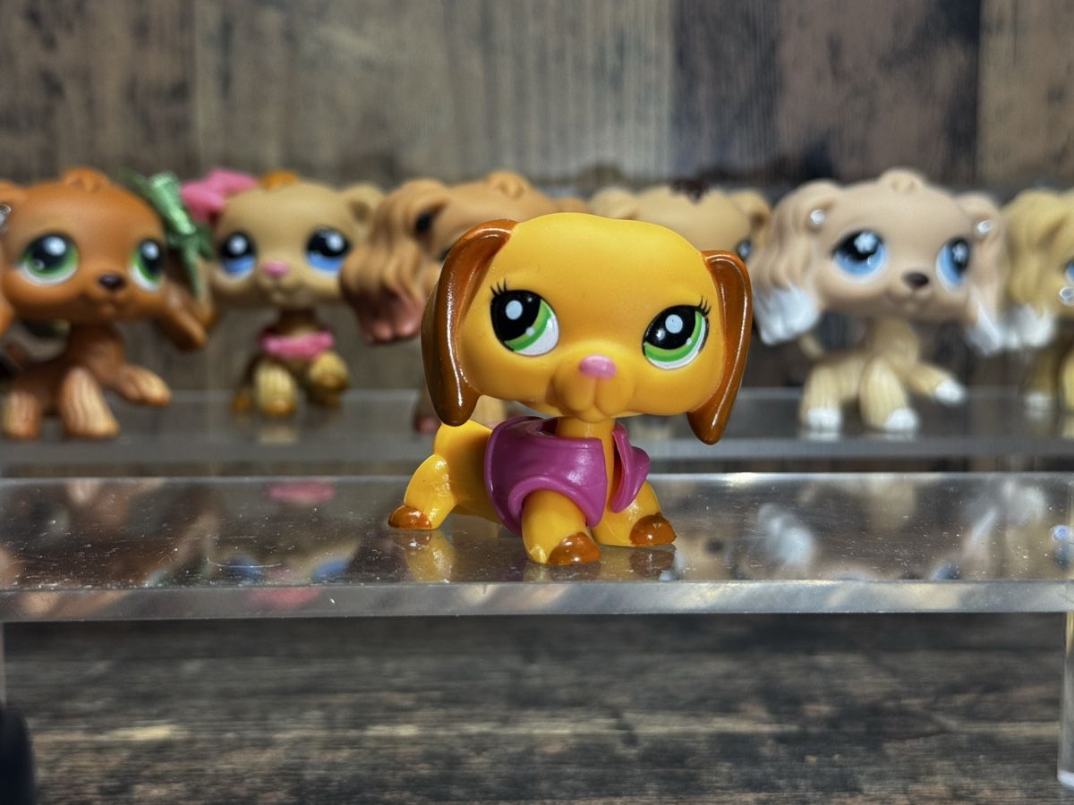 Hasbro Giocattoli: Littlest pet shop Dachshund – Usato da Luzern venduto da Maja.C