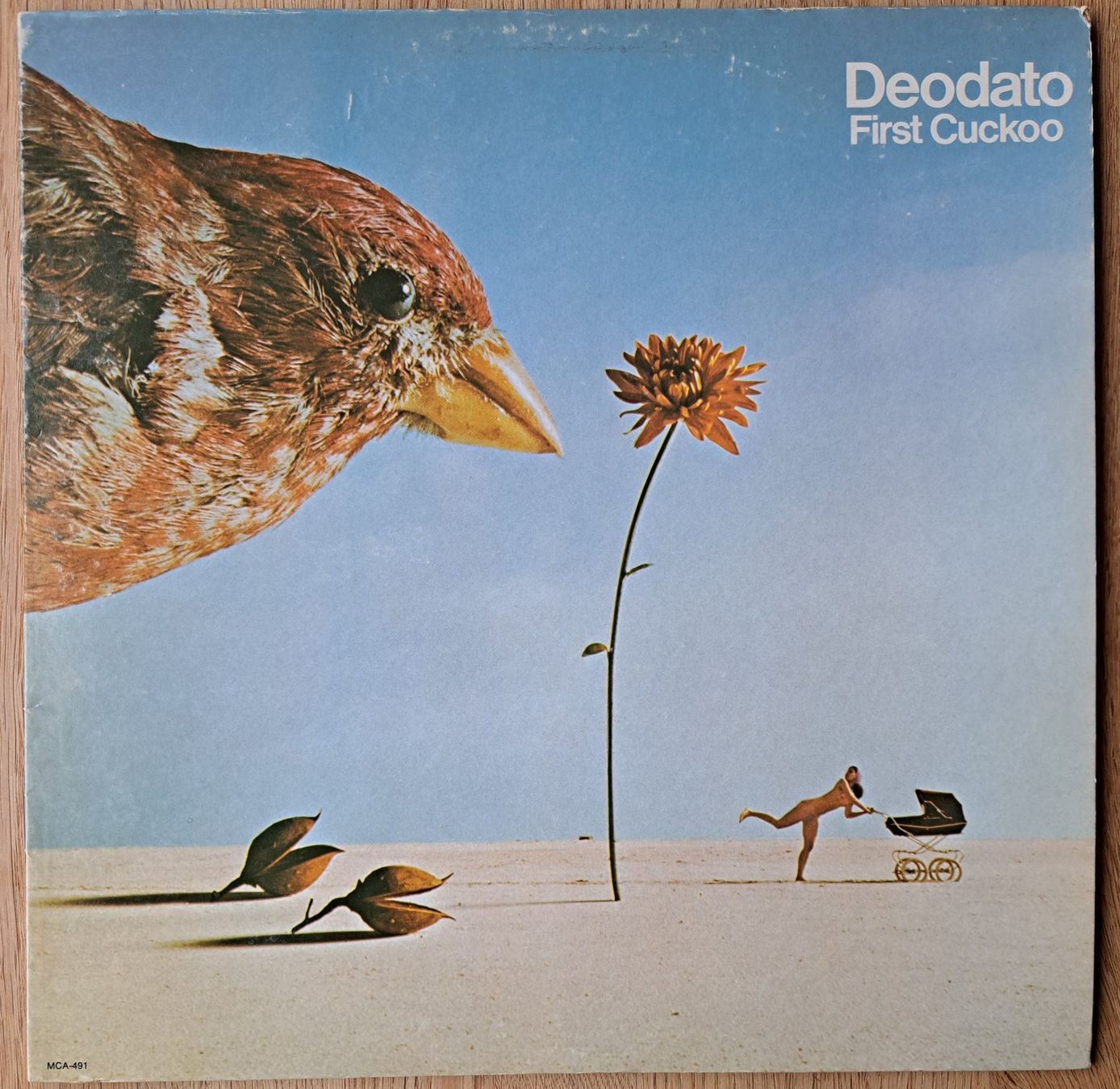 Dischi in vinile: Deodato - First Cuckoo – Usato da Meggen venduto da Ricardokoch