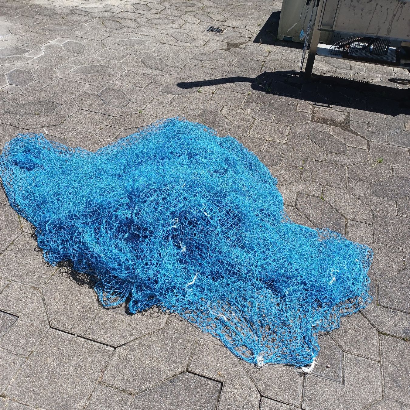 Griglie e Inferriate: Vogelschutznetz , Baumnetz,  Netz blau – Usato da Waldkirch venduto da Fantasia-101